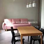 Rent 1 bedroom apartment of 35 m² in Zabrze