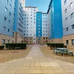 Rent 1 bedroom flat in Leicester