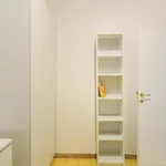 Rent 5 bedroom apartment in Rome