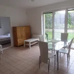 Rent 3 bedroom apartment of 62 m² in Brno