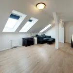 Rent 3 bedroom apartment in Praha 8