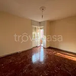 Rent 3 bedroom apartment of 75 m² in Torino