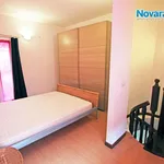 Rent 3 bedroom apartment of 56 m² in Novara