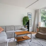 Rent 3 bedroom house of 146 m² in Haarlem