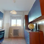 Rent 5 bedroom apartment in Milan