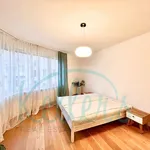 Rent 3 bedroom apartment of 96 m² in Prague