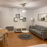 Rent 1 bedroom apartment of 35 m² in BordeauxPortable