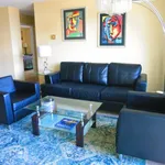 Rent 1 bedroom apartment in Downtown