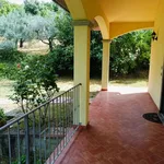 Rent 2 bedroom house of 100 m² in arezzo