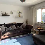 Rent 4 bedroom apartment of 78 m² in Rheine