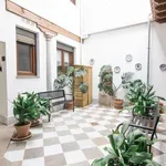 Alquilar 2 dormitorio apartamento en granada