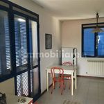 Rent 1 bedroom apartment of 35 m² in Pisa