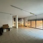 Rent 1 bedroom apartment of 55 m² in Roma