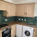 Terraced house to rent in Silverdale Road, Hove BN3