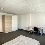 Miete 1 Schlafzimmer wohnung in Fribourg - Freiburg