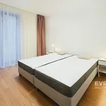 Pronajměte si 4 ložnic/e byt o rozloze 142 m² v Prague