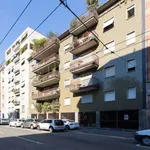 Rent a room of 115 m² in milan