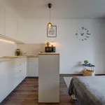 Rent 1 bedroom apartment of 24 m² in Prague