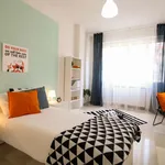 Rent a room in Bologna