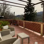 Rent 3 bedroom house of 100 m² in Petralia Sottana