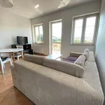 Rent 2 bedroom apartment of 54 m² in Grudziądz