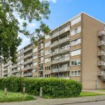 Rent 2 bedroom apartment of 86 m² in Breda