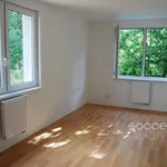 Rent 4 bedroom apartment of 110 m² in Praha