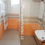 Pronajměte si 1 ložnic/e byt o rozloze 30 m² v Hradec Králové