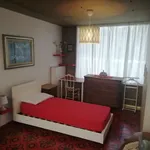 Rent 5 bedroom apartment in Turin