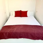 Rent 1 bedroom apartment in florence