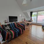 Rent 1 bedroom apartment in brussels