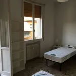 Rent a room in bologna