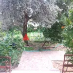 Rent 1 bedroom apartment of 45 m² in Mytilene Municipal Unit