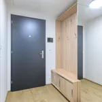 Rent 2 bedroom apartment of 48 m² in Praha 5 - Smíchov