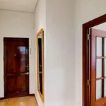 Rent 1 bedroom apartment of 55 m² in madrid