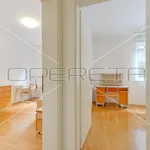 Rent 4 bedroom apartment of 218 m² in Zagreb