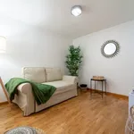 Rent 1 bedroom apartment of 40 m² in Porto