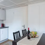 Miete 1 Schlafzimmer wohnung von 344 m² in Zug