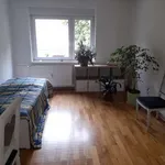 50 m² Zimmer in berlin