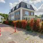 Rent 8 bedroom house of 348 m² in Kraayenstein en Vroondaal