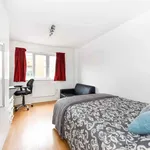 Rent 1 bedroom apartment in Leicester