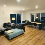 Miete 4 Schlafzimmer haus von 12664 m² in Hanau