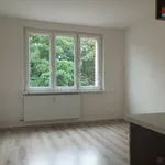 Rent 1 bedroom apartment in Chomutov