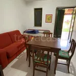 Rent 3 bedroom house of 80 m² in Carovigno