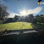 Rent 3 bedroom apartment in Christchurch