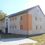 Rent 4 bedroom apartment of 81 m² in Celle