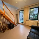 Rent 1 bedroom apartment in Leuven