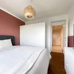 Rent 1 bedroom apartment in Woluwe-Saint-Pierre