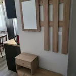 Rent 1 bedroom apartment in Brno