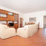 Rent 4 bedroom apartment of 119 m² in Pistoia